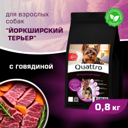 Корм сухой для взрослых собак породы Йоркширский терьер, с говядиной, 800 гр, QUATTRO