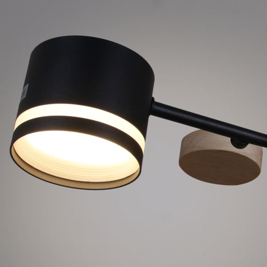 68730-0.3-08 GX53 BK+WOOD светильник потолочный