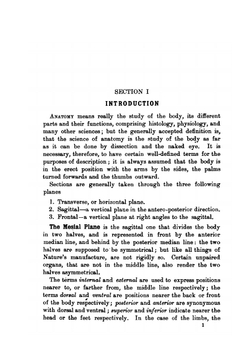 Handbook of anatomy for students of massage | Margaret E. Björkegren