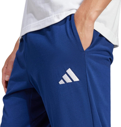 Брюки Adidas M SL SJ TO PT