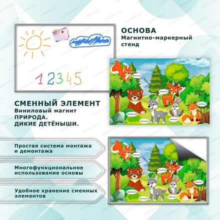 Комплект развивающий ПРИРОДА. ДИКИЕ ДЕТЁНЫШИ. 2168