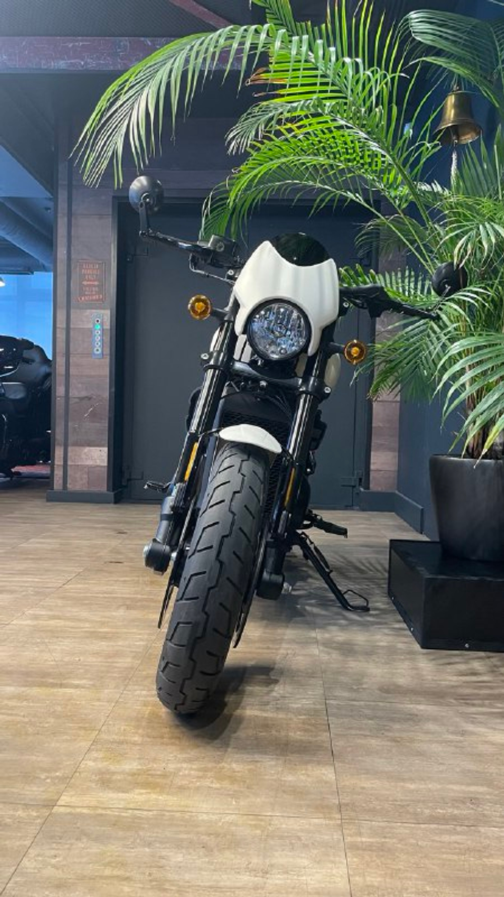 Harley-Davidson Street ROD 2017