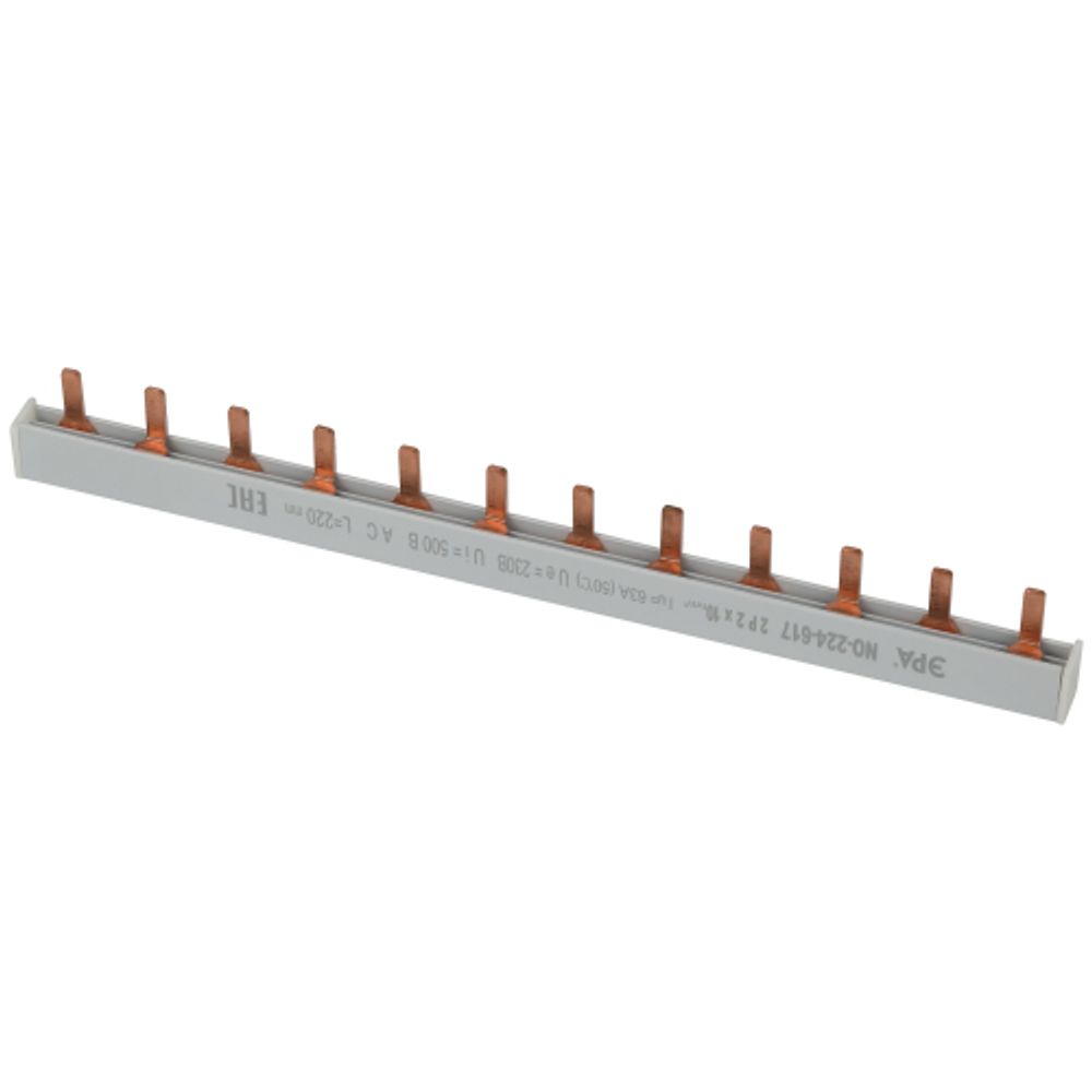 Шина соединительная ЭРА NO-224-617 PIN штырь 2Р 63А 22 см 12 модулей | Шины соединительные и аксессуары