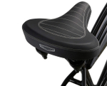 Комфортный велосипед Schwinn Hornet (2020)