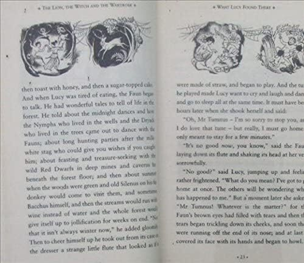 Chronicles of Narnia - Lion, Witch & Wardrobe