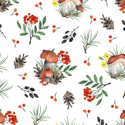 Грибы и рябина