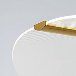 Подвесной светильник Citilux SKATT CL213132