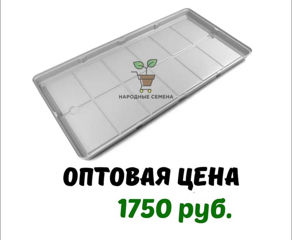 Поддон (лоток) для гидропоники 650*1300*60