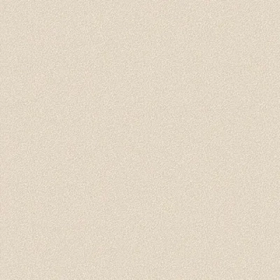 Обои винил на флизелине Белвинил Континенты фон 0429-61 1.06*10м