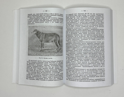 Бутурлин С. Настольная книга охотника. Репринт: Вологда, ВСЕКОХОТСОЮЗ,1930. Изд. 2010г. Тираж 300 э.
