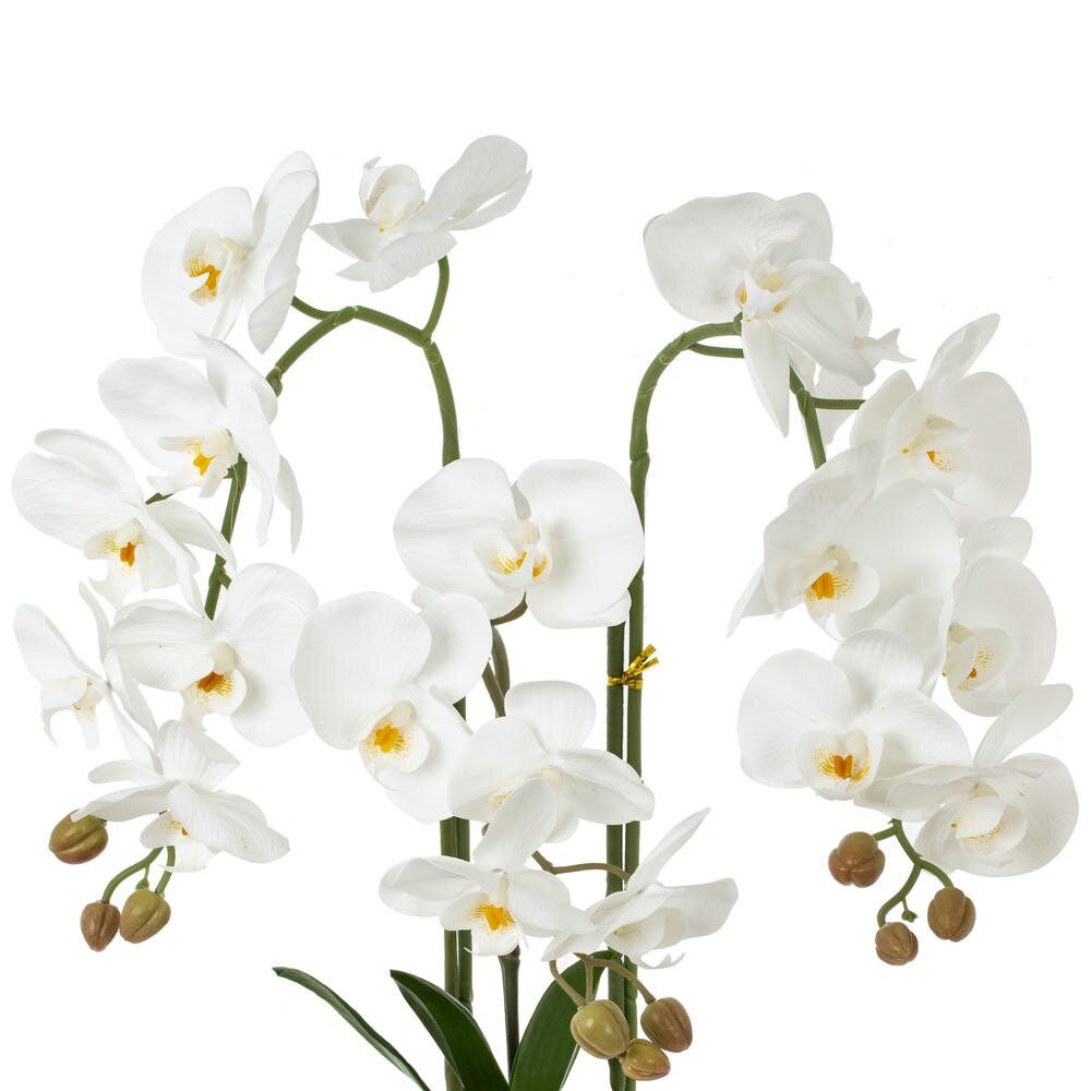 GAEM Цветочная композиция, L W H50 см