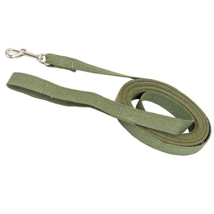 ДАРЭЛЕНД ЧИП Поводок брезентовый для собак 25 мм