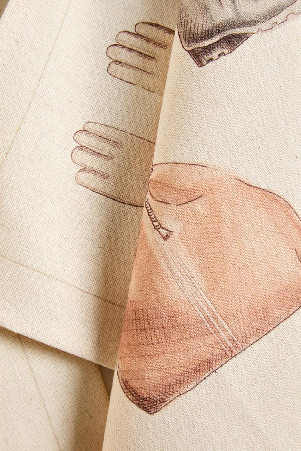 ZARA HOME НАБОР КУХОННЫХ ПОЛОТЕНЕЦ В САДОВОЙ ТЕМАТИКЕ (НАБОР ИЗ 2 ПРЕДМЕТОВ),  ЭКРЮ