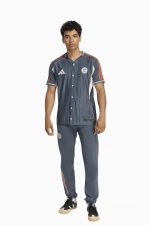 Штаны adidas FC Bayern 25/26 US Pack - серый