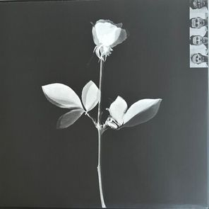 Depeche Mode / Violator (LP)