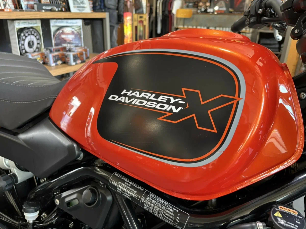 HARLEY-DAVIDSON X™ 500 2024 с НДС
