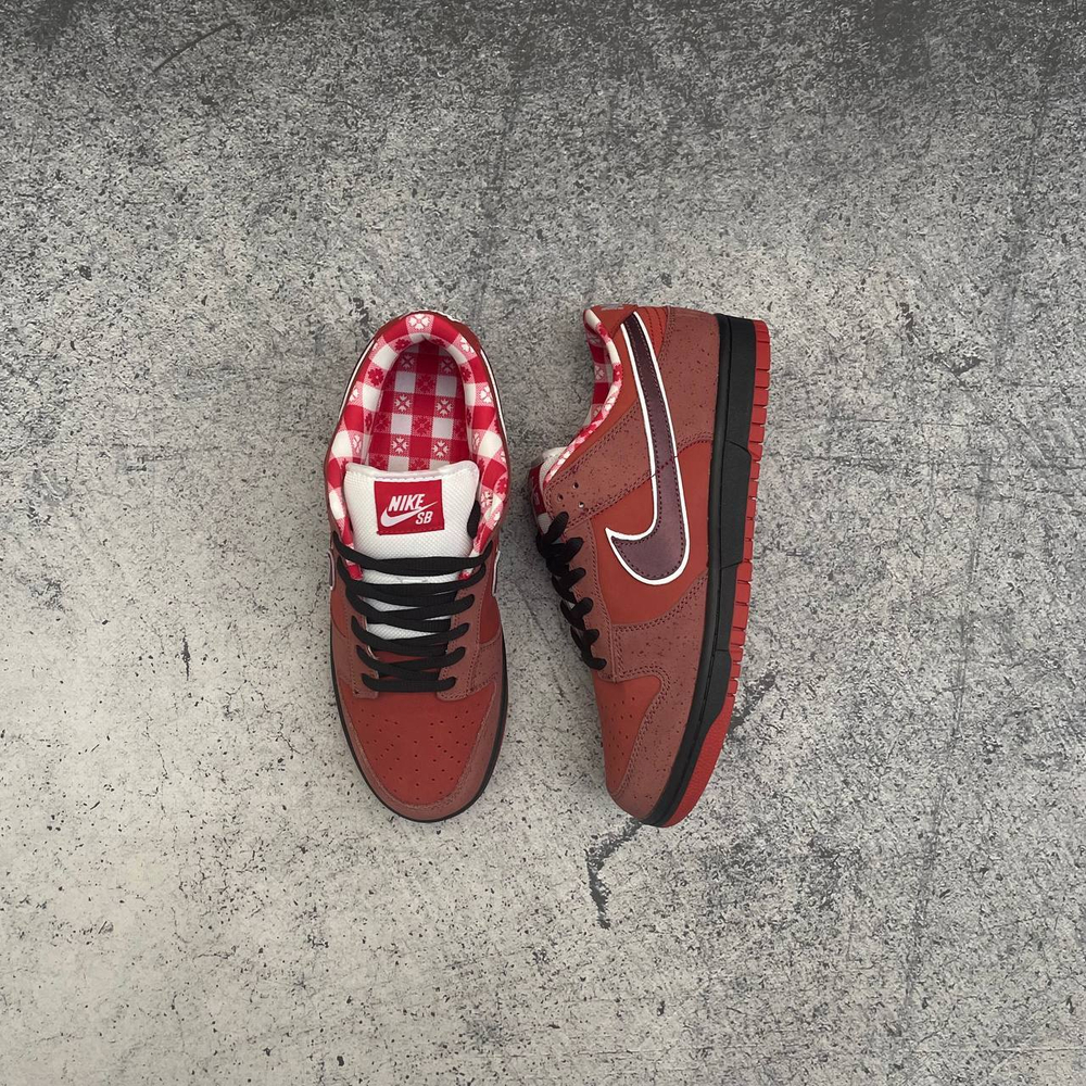 photo_2025-11-22_16-36-00