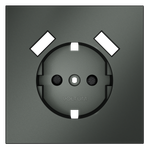 Накладка для розетки с заземлением и защитными шторками, с USB A+A, S70 (титан)