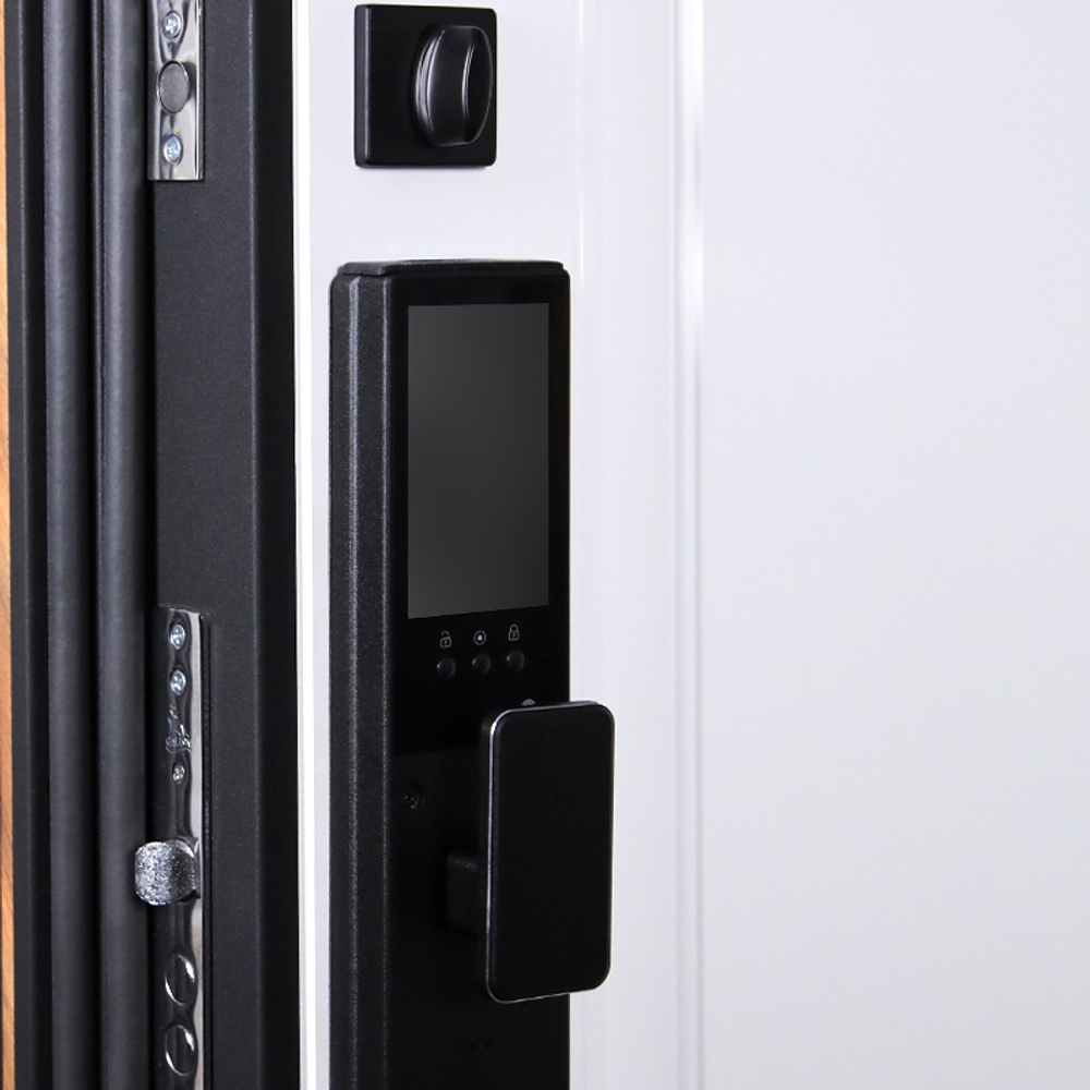 Стальная дверь "Plata"