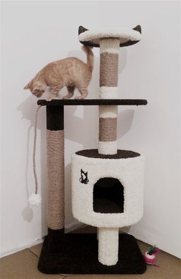 Домик для кота Д-2