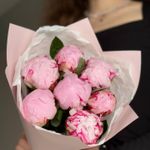 Нежный букет из 7 розовых пионов «Сара Бернар»