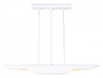 Подвесной светильник Ambrella Light TN TN5155