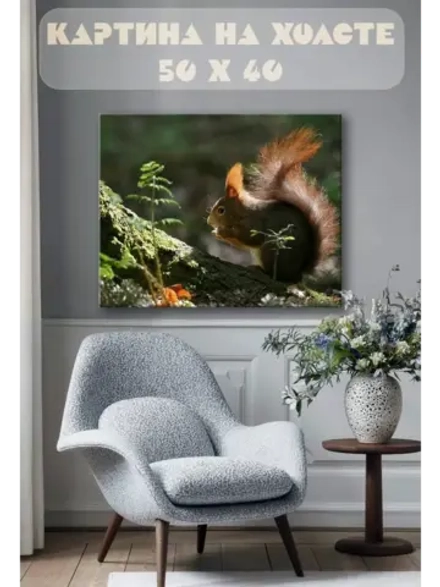 Картина на стену 40 X 50 Белка