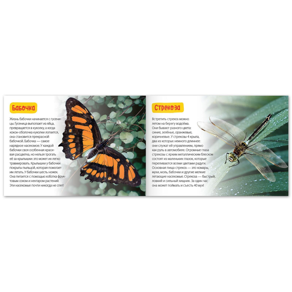 Обучающие книги набор «Удивительный мир» 6 шт.