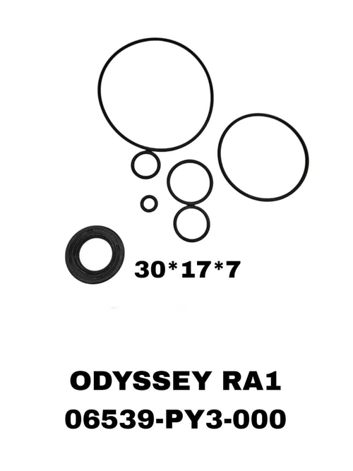 РЕМКОМПЛЕКТ ГУРА Odyssey,Shuttle RA3,RA4 F22,F23