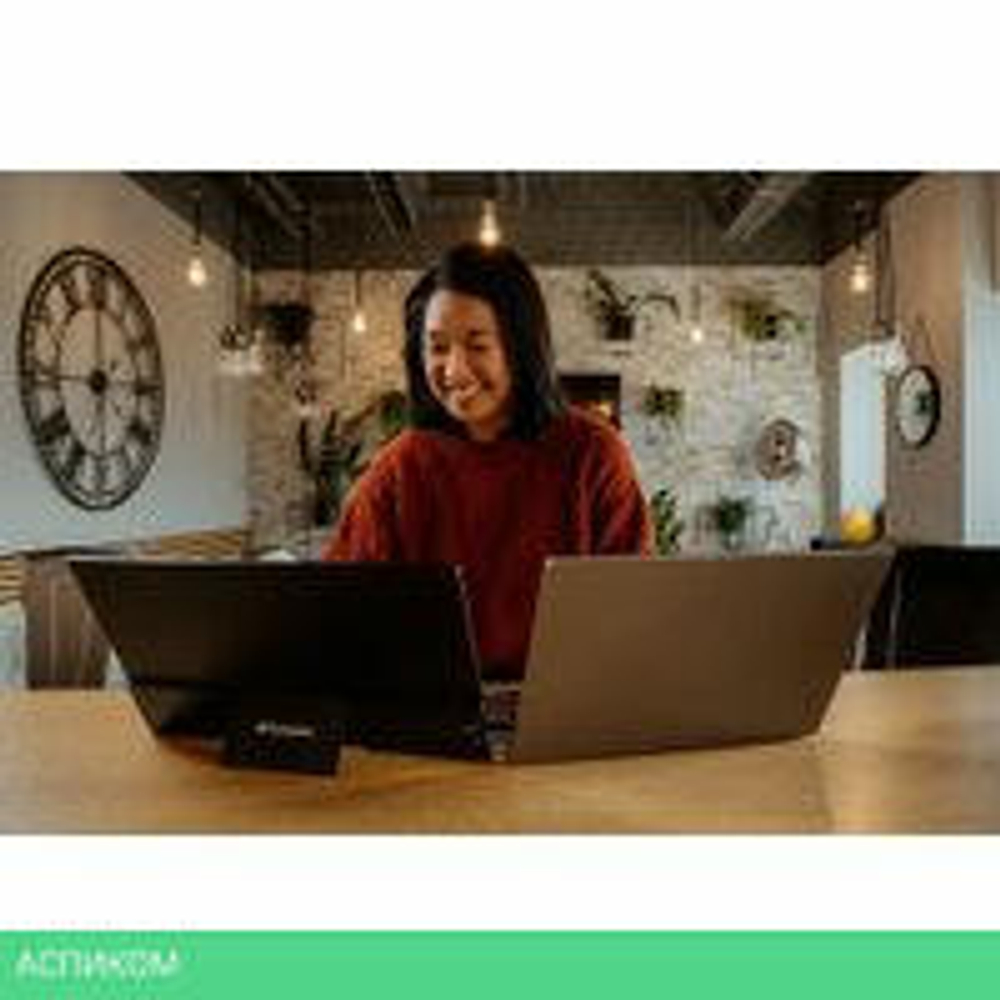 Портативный монитор Verbatim PMT-17 49593