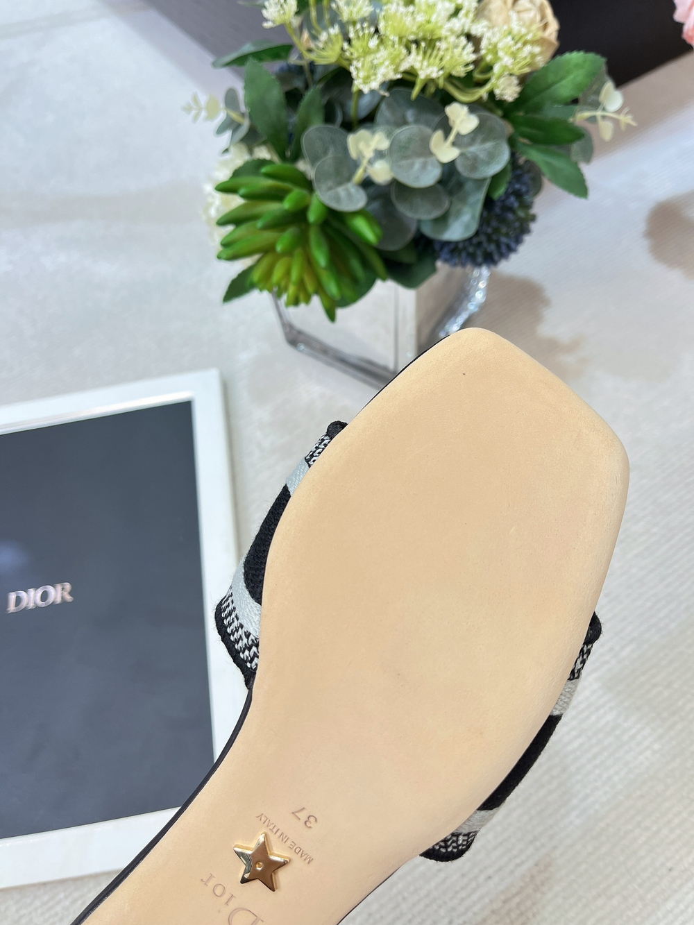 Christian Dior Dway Slide (11 colors)
