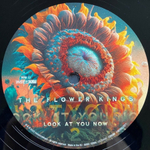 The Flower Kings / Look At You Now (2LP)