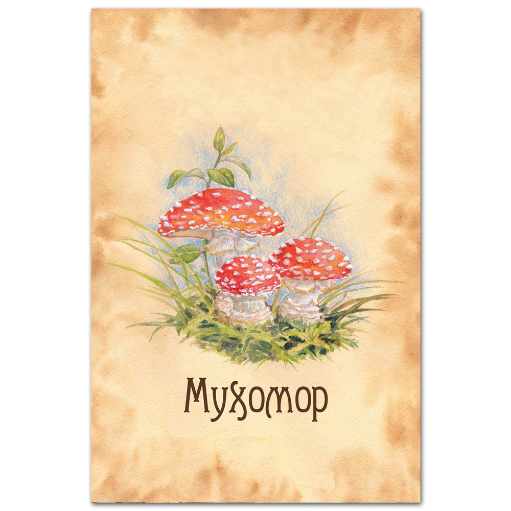 Мухомор
