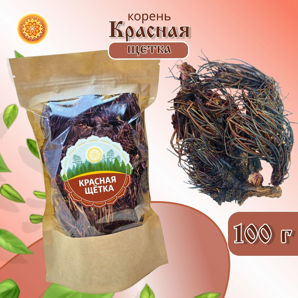 Красная щетка Алтайская (Родиола четырехчленная) корень.
