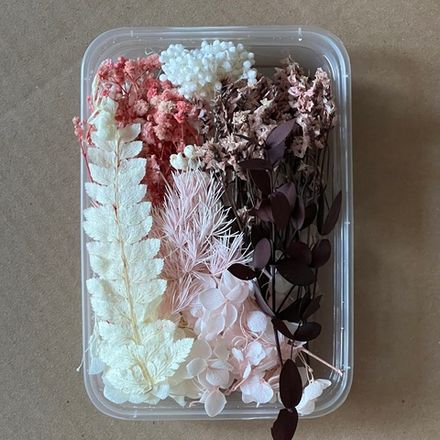 Сухоцветы набор №10