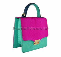 Сумка из кожи питона BG-214