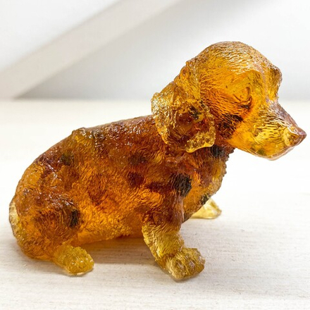 Такса длинношерстная