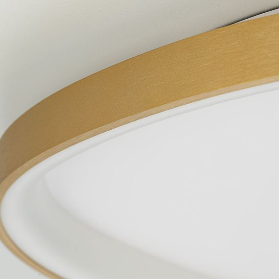 Потолочный светодиодный светильник Citilux Genka Smart CL756A162