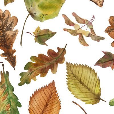 Осенняя листва