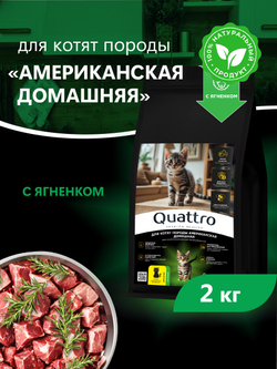Корм сухой для котят породы Американская домашняя, с ягненком, 2кг, QUATTRO