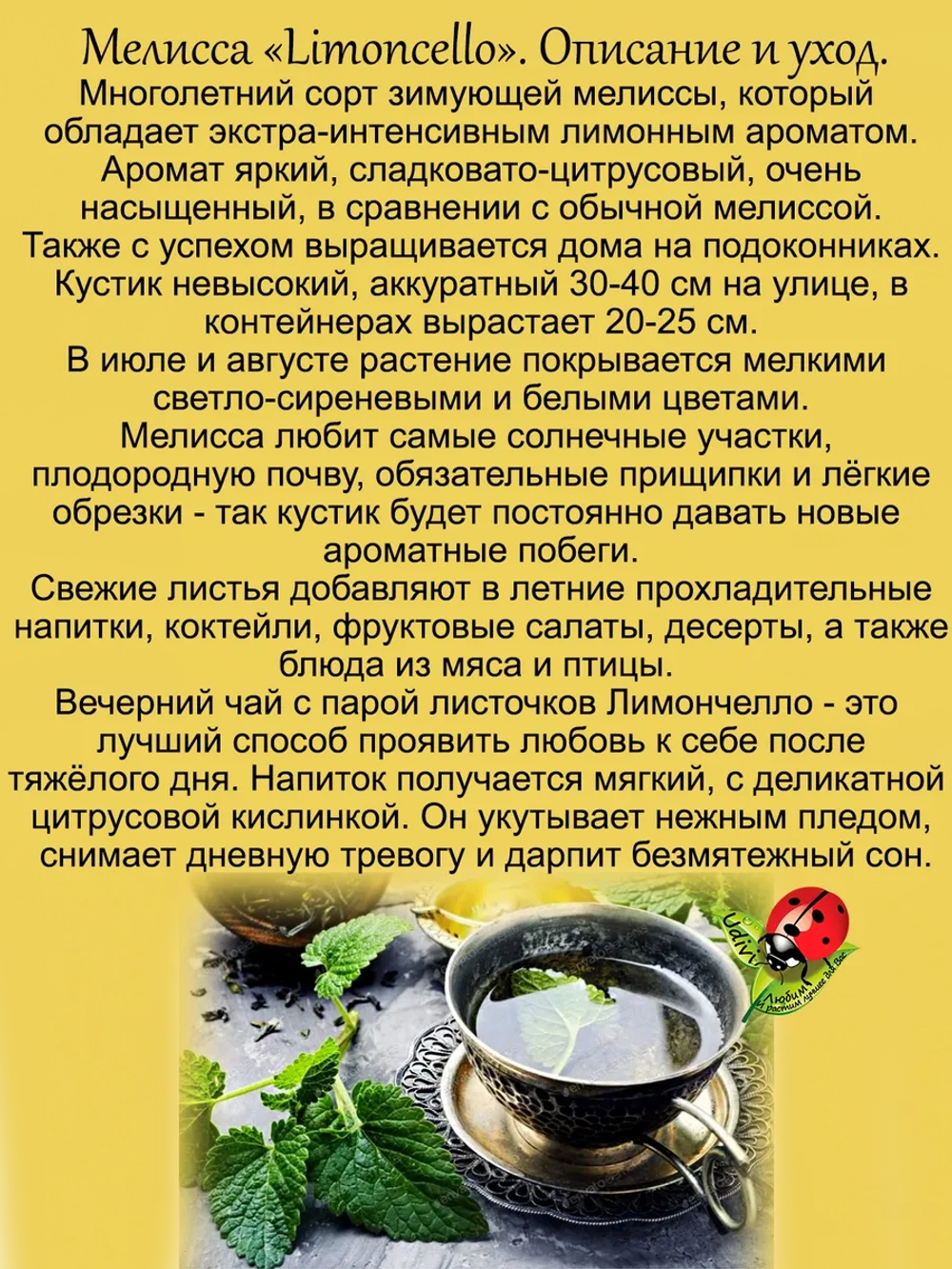 Мелисса Лимончелло экстра интенсивная