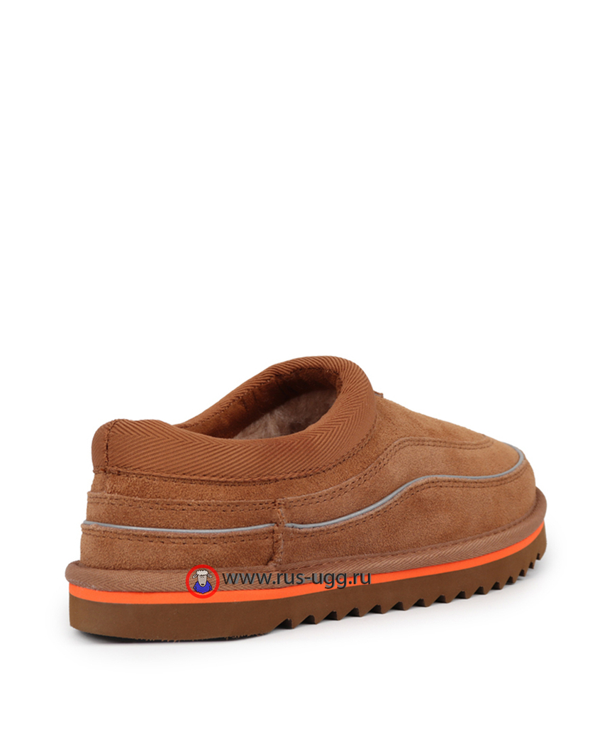 TASMAN CALI WAVE MEN Chestnut