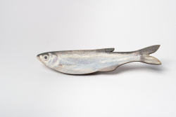 Декоративные прищепки