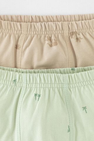 трусы/ уп  для мальчика  К 1930-2уп/морская пена,тем.бежевый,слонята