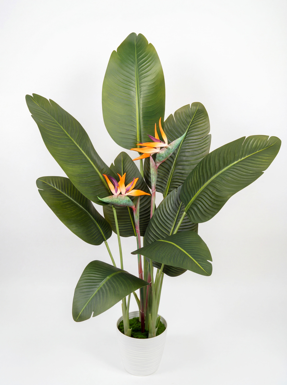 Искусственная стрелиция с цветами в кашпо