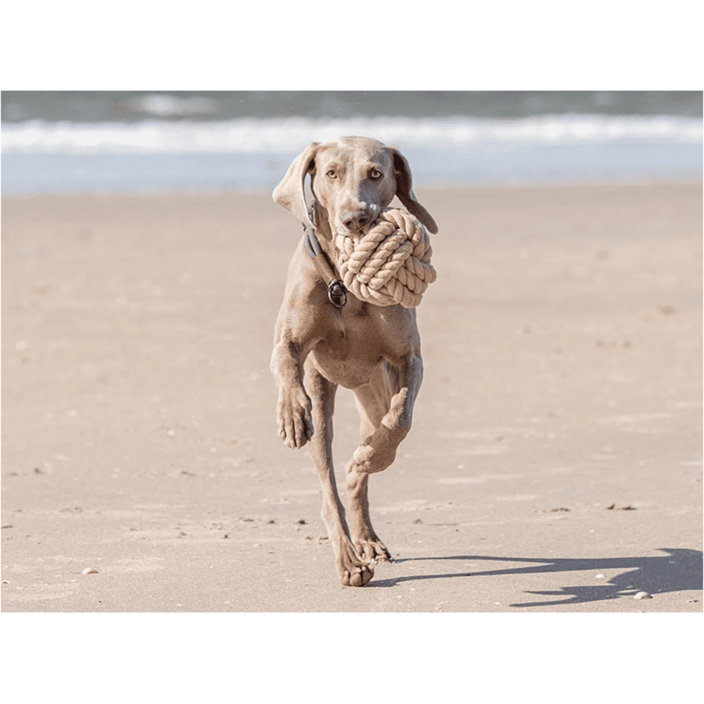 Веревочный мяч BE NORDIC