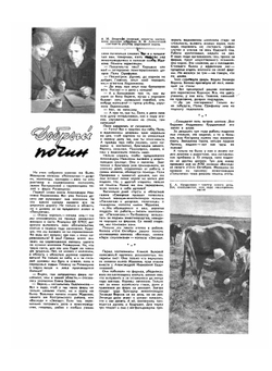 Журнал "Крестьянка". №11, Ноябрь 1959 | Коллектив Авторов