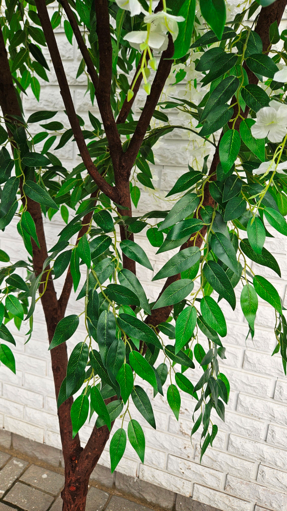 Искусственная Акация белая 240см в техническом кашпо