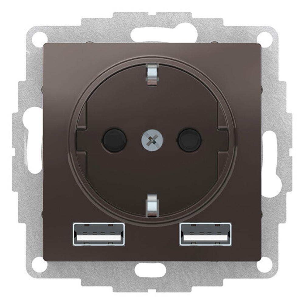 Розетка с заземлением с 2 USB  Systeme Electric ATN000630