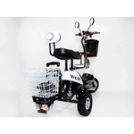 Электротрицикл EL-Sport SF8 Maxi 500W